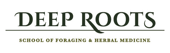 Deep Roots School of Foraging and Herbal Medicine