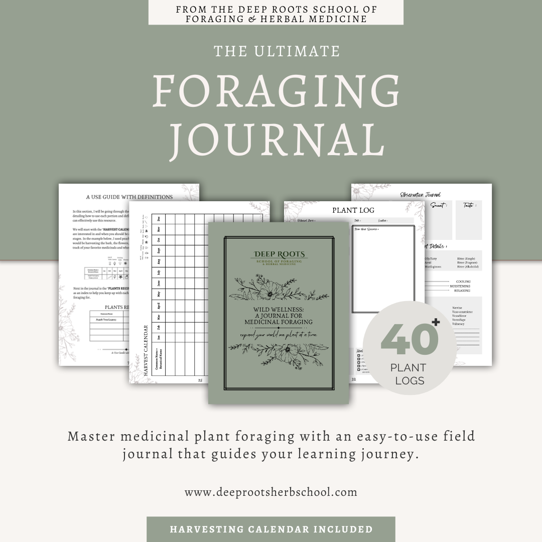 WILD WELLNESS: A JOURNAL FOR MEDICINAL FORAGING