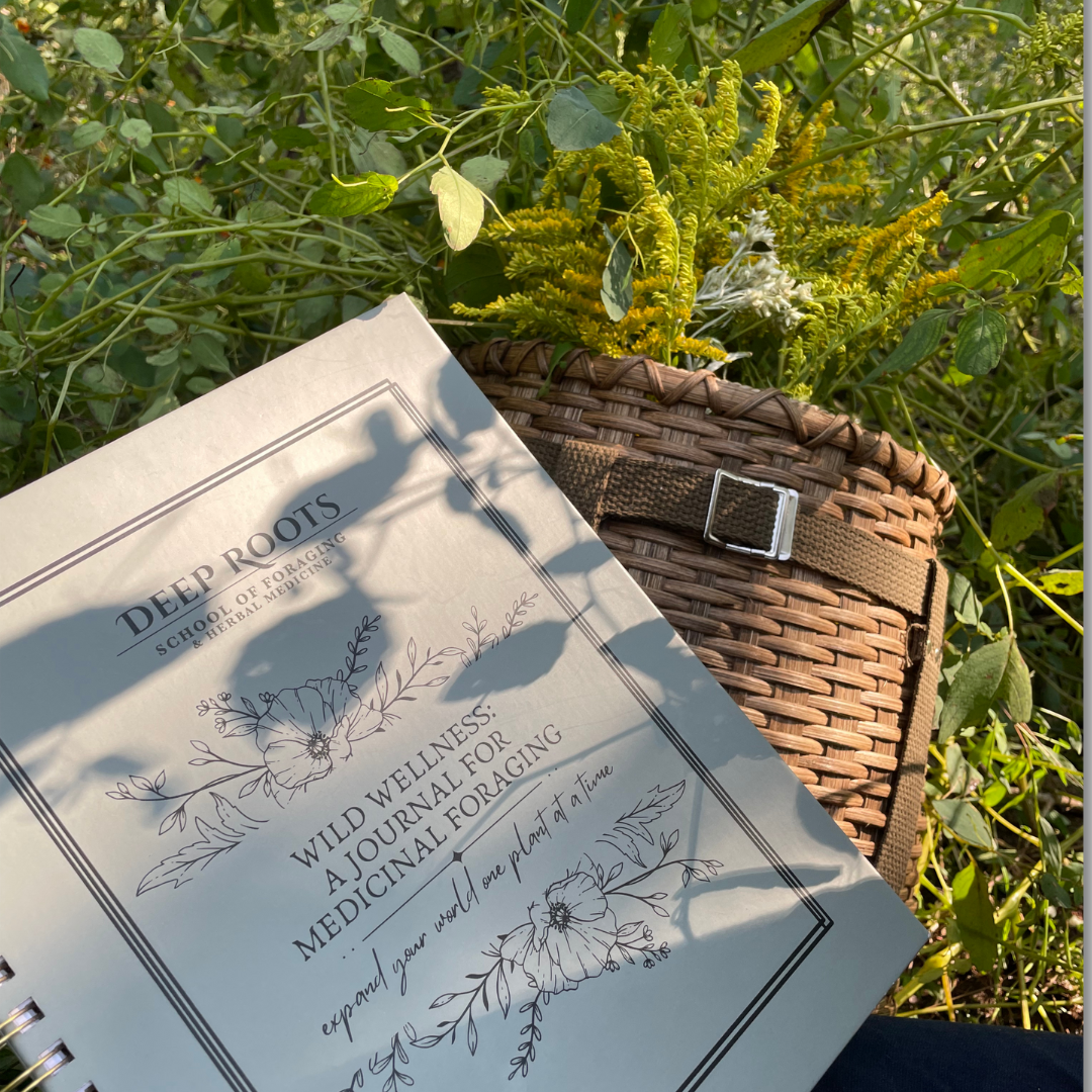 WILD WELLNESS: A JOURNAL FOR MEDICINAL FORAGING