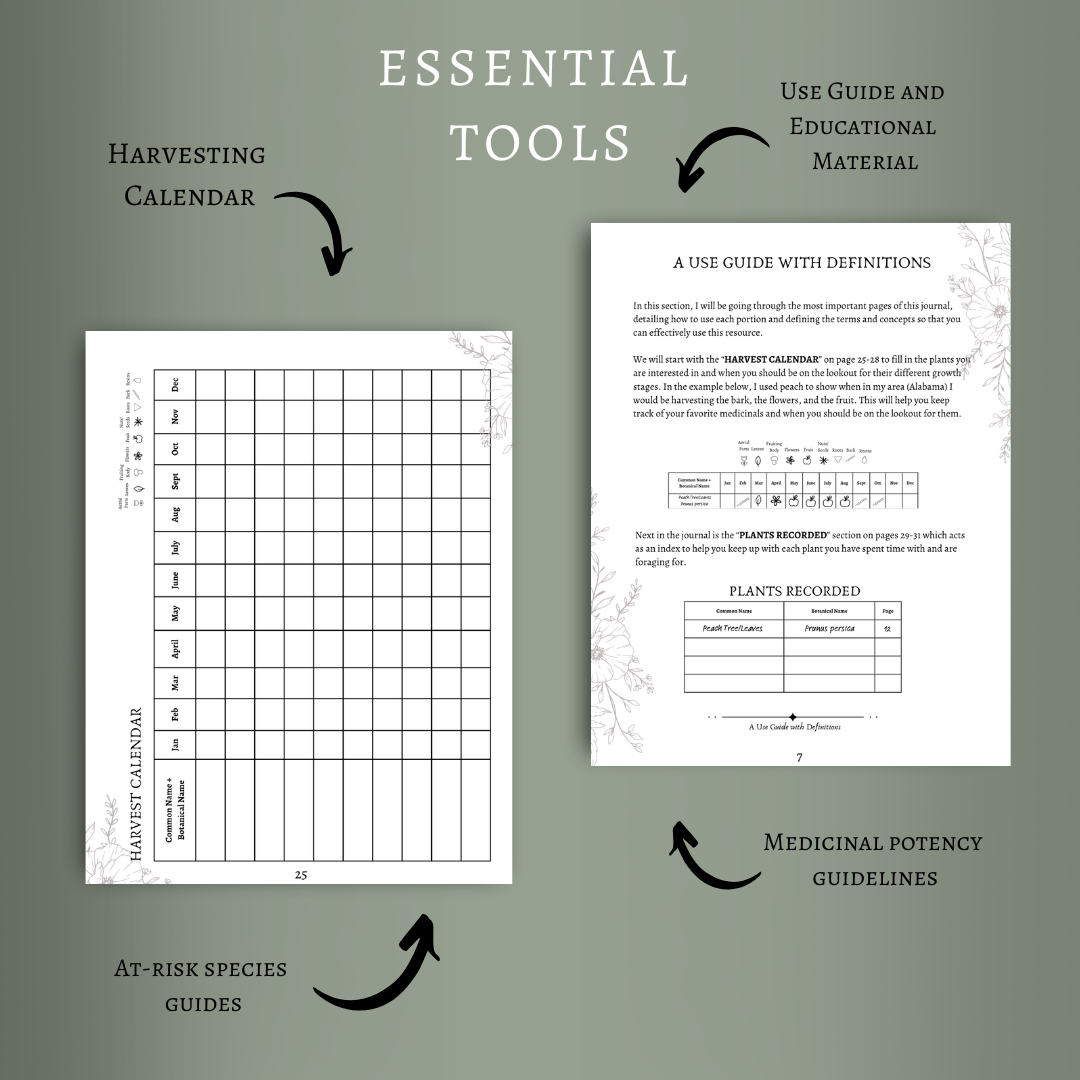 WILD WELLNESS: A JOURNAL FOR MEDICINAL FORAGING